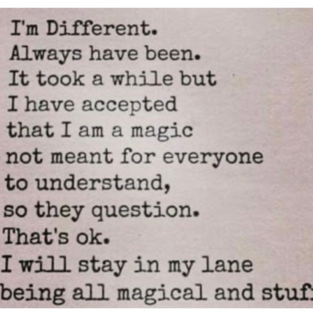 Meet your Posher, Mia - Picture 3 of 16